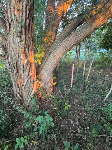 $40,000 | Coral Road, Coral, MI 49322