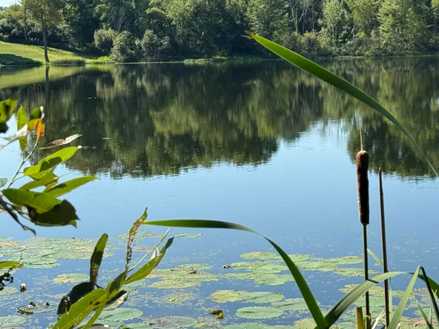 $40,000 | Coral Road, Coral, MI 49322