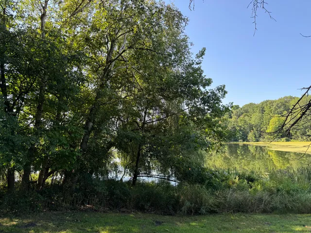 $40,000 | Coral Road, Coral, MI 49322