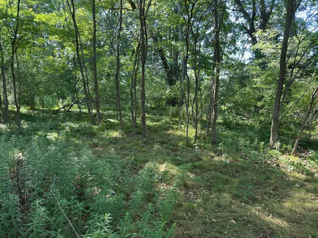 $40,000 | Coral Road, Coral, MI 49322