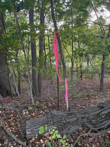 $40,000 | Coral Road, Coral, MI 49322