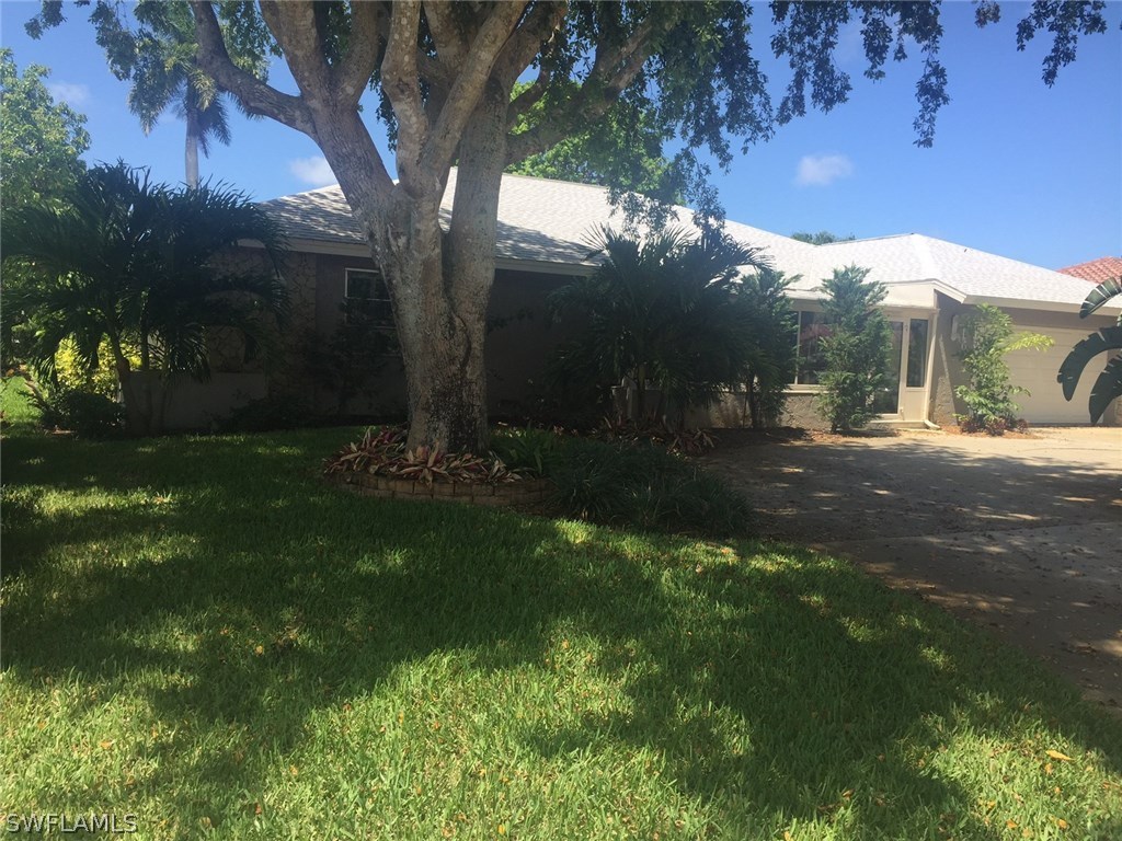 a view of a yard with plants and large trees