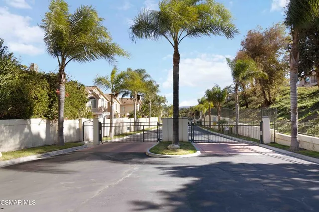 a view of a park with palm trees
