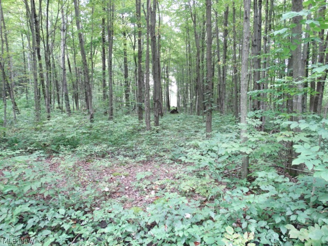 Rick Road Pierpont, OH 44082 - Photo 16 of 21