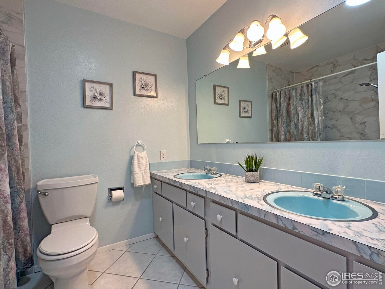 807 Locust Street Windsor, CO 80550 - Photo 22 of 40 a bathroom with a toilet a sink and mirror