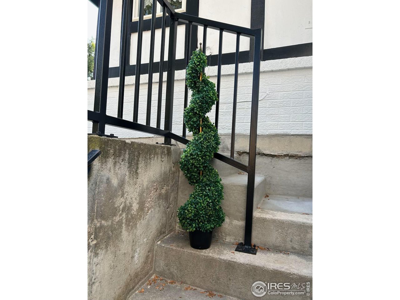 807 Locust Street Windsor, CO 80550 - Photo 33 of 40 a view of entryway