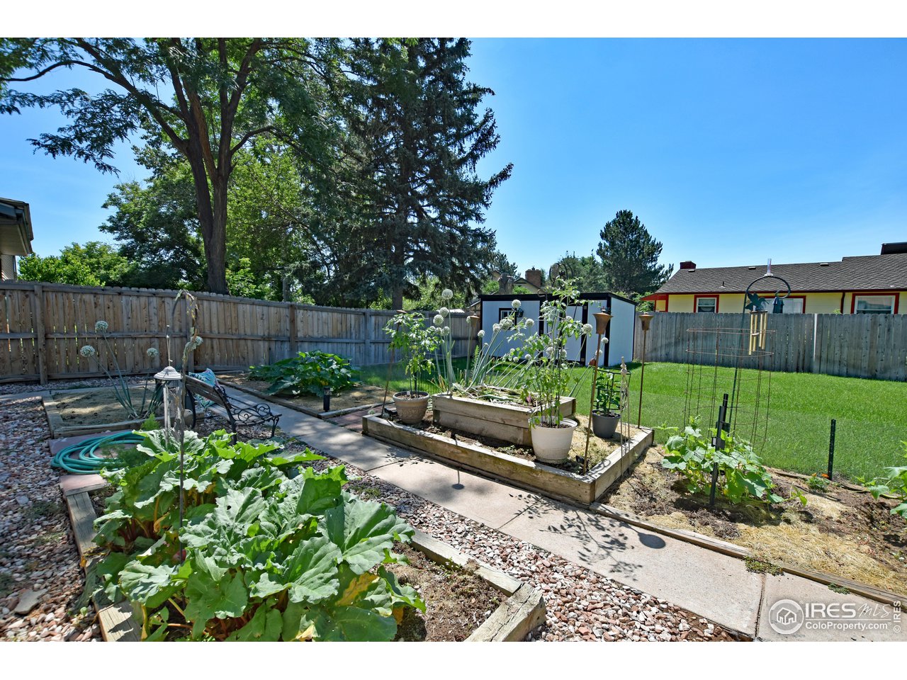 807 Locust Street Windsor, CO 80550 - Photo 37 of 40 a view of a backyard with couches plants and wooden fence