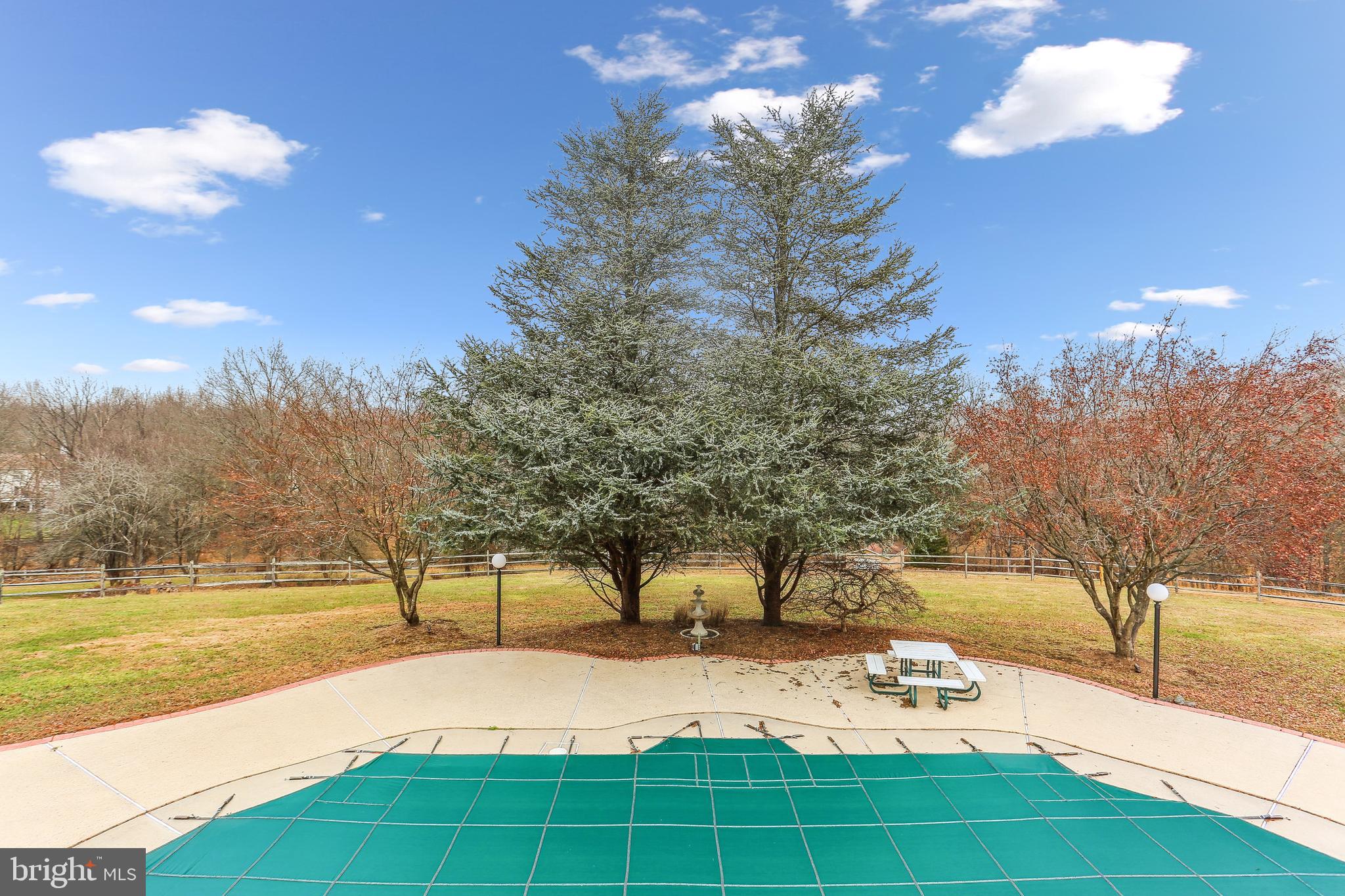 9409 Thornedike Drive Laytonsville, MD 20882 - Photo 36 of 86 a view of a yard with swimming pool and trees