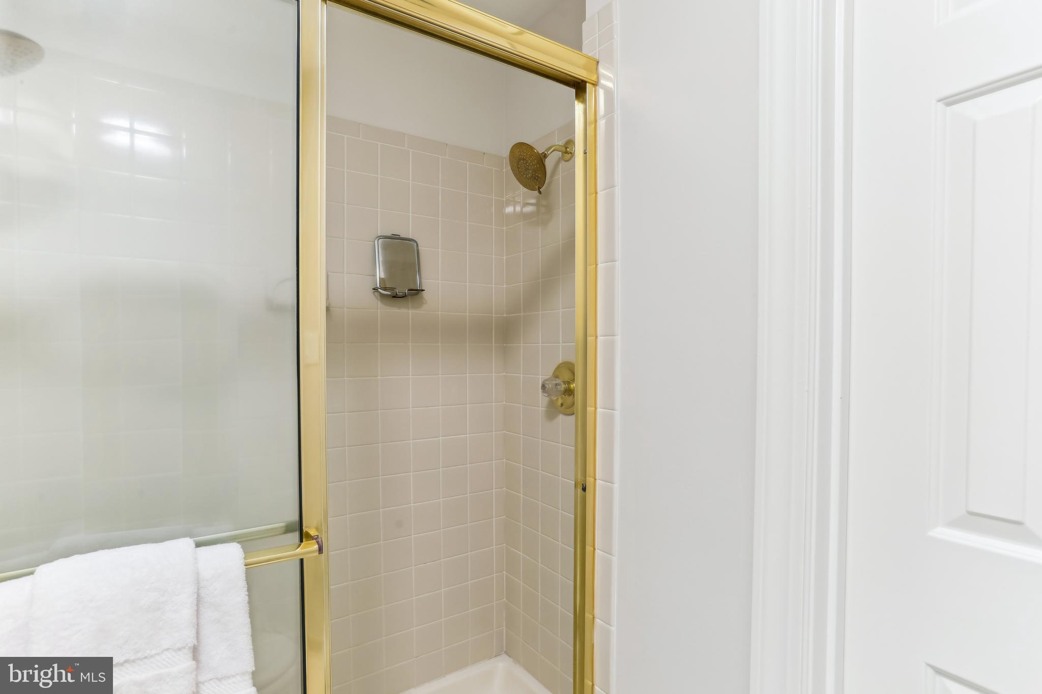 9409 Thornedike Drive Laytonsville, MD 20882 - Photo 44 of 86 Separate room with commode and dual head shower