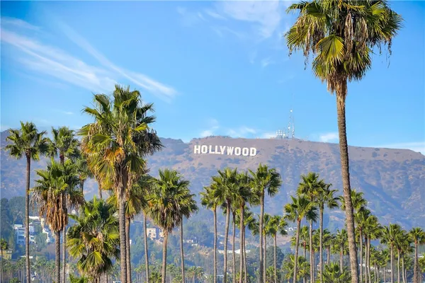 a flower plants in front of a house