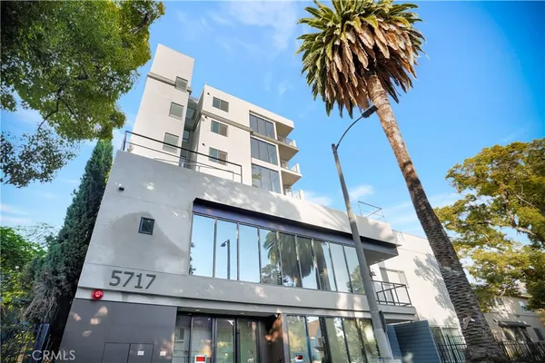 front view of house with a palm tree