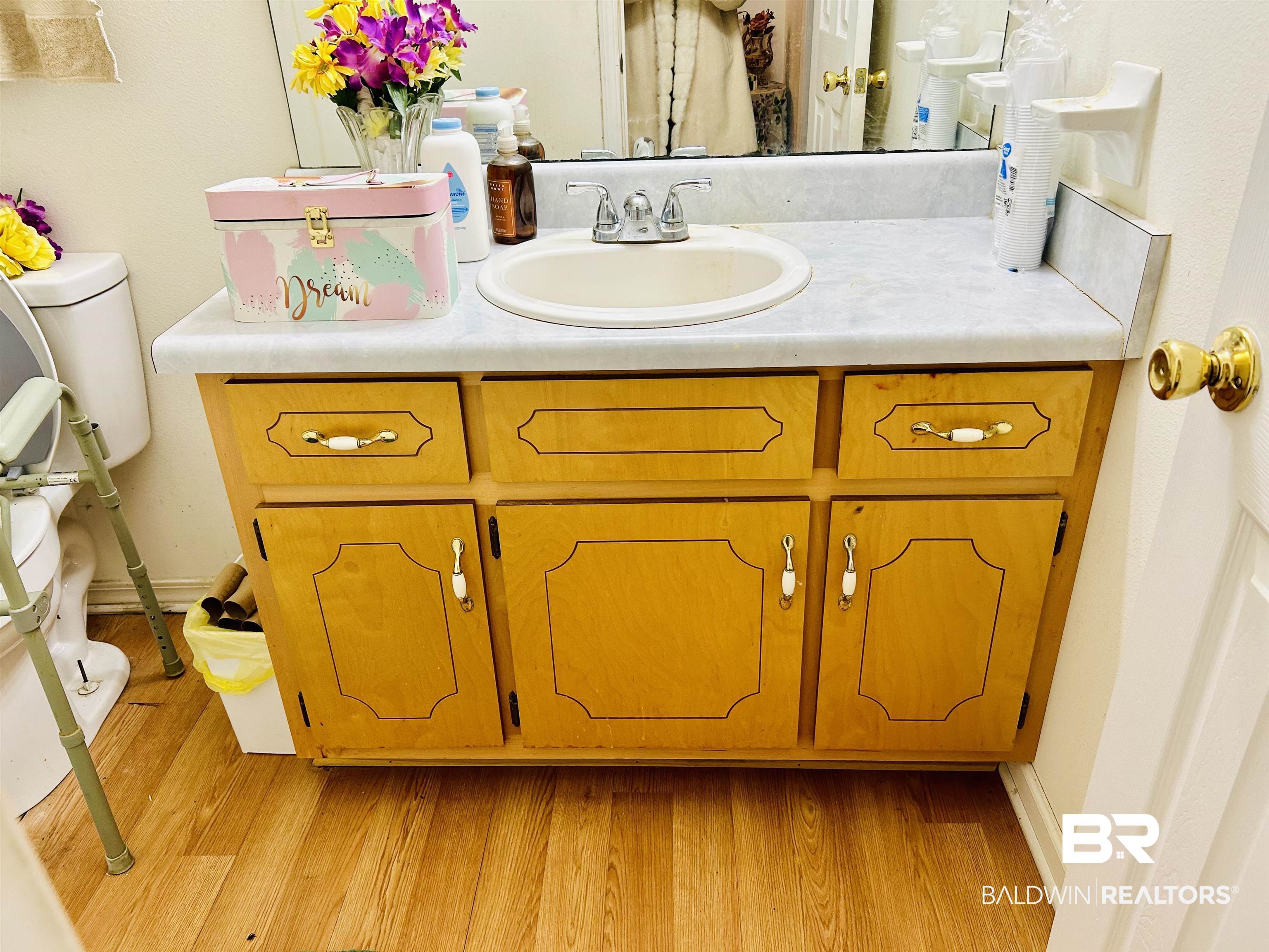 13551 Gaston Loop Road Grand Bay, AL 36541 - Photo 5 of 15 Bathroom featuring toilet, vanity, and hardwood / wood-style floors