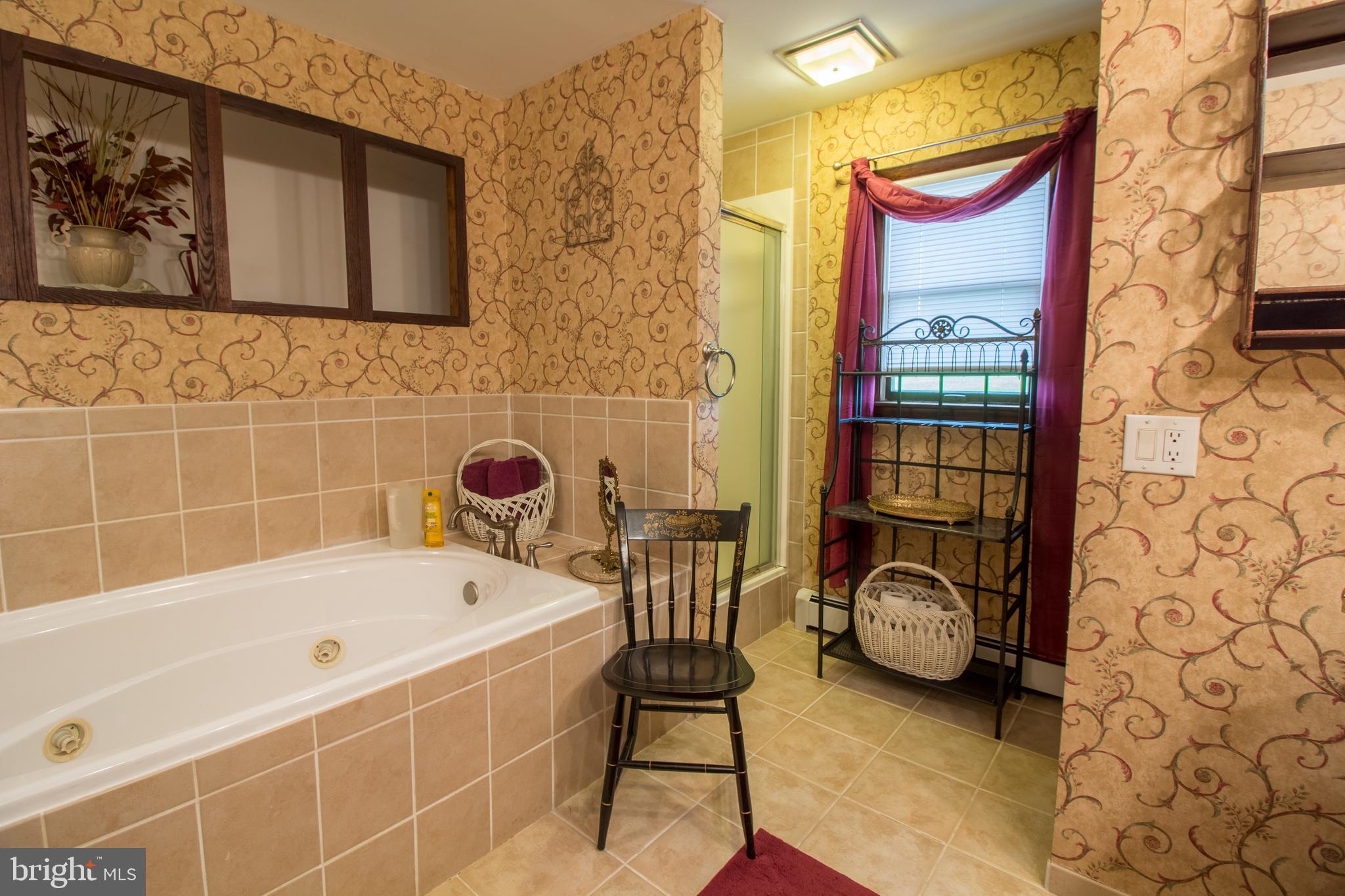 537 Million Dollar Road Halifax, PA 17032 - Photo 18 of 52 Bathroom