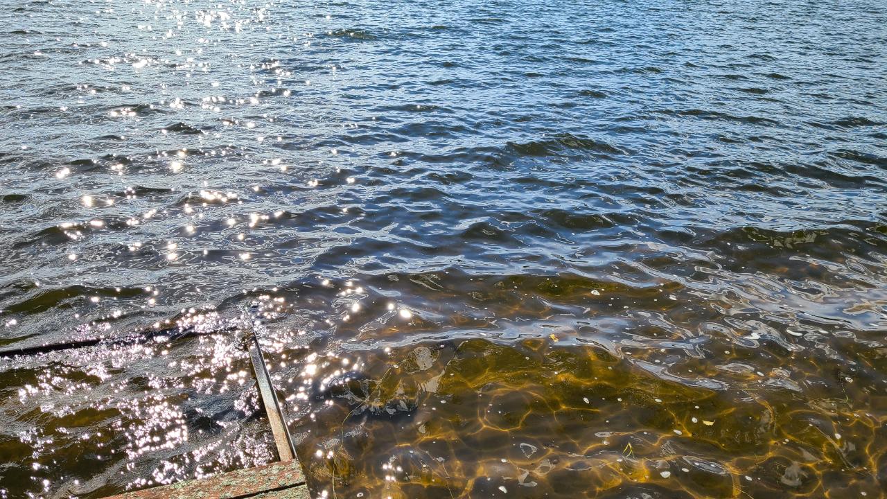 12766 Wind Point Road Manitowish Waters, WI 54545 - Photo 19 of 24 Gallery Image 19