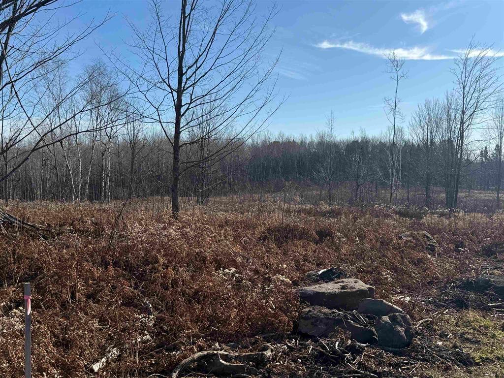 1086 Highway 2 Proctor, MN 55810 - Photo 12 of 21