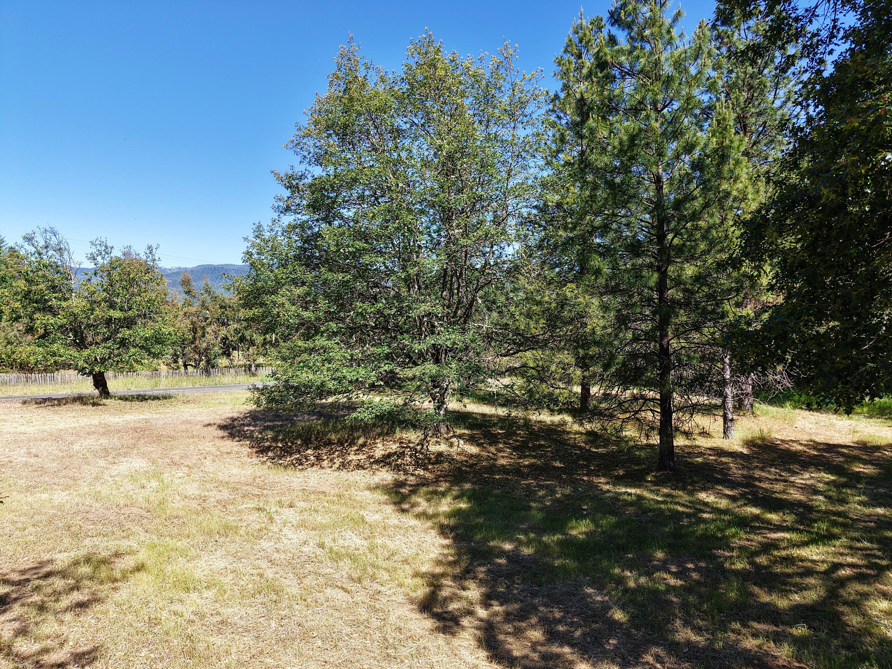 1135 East Fork Road Williams, OR 97544 - Photo 70 of 80 Gallery Image 70