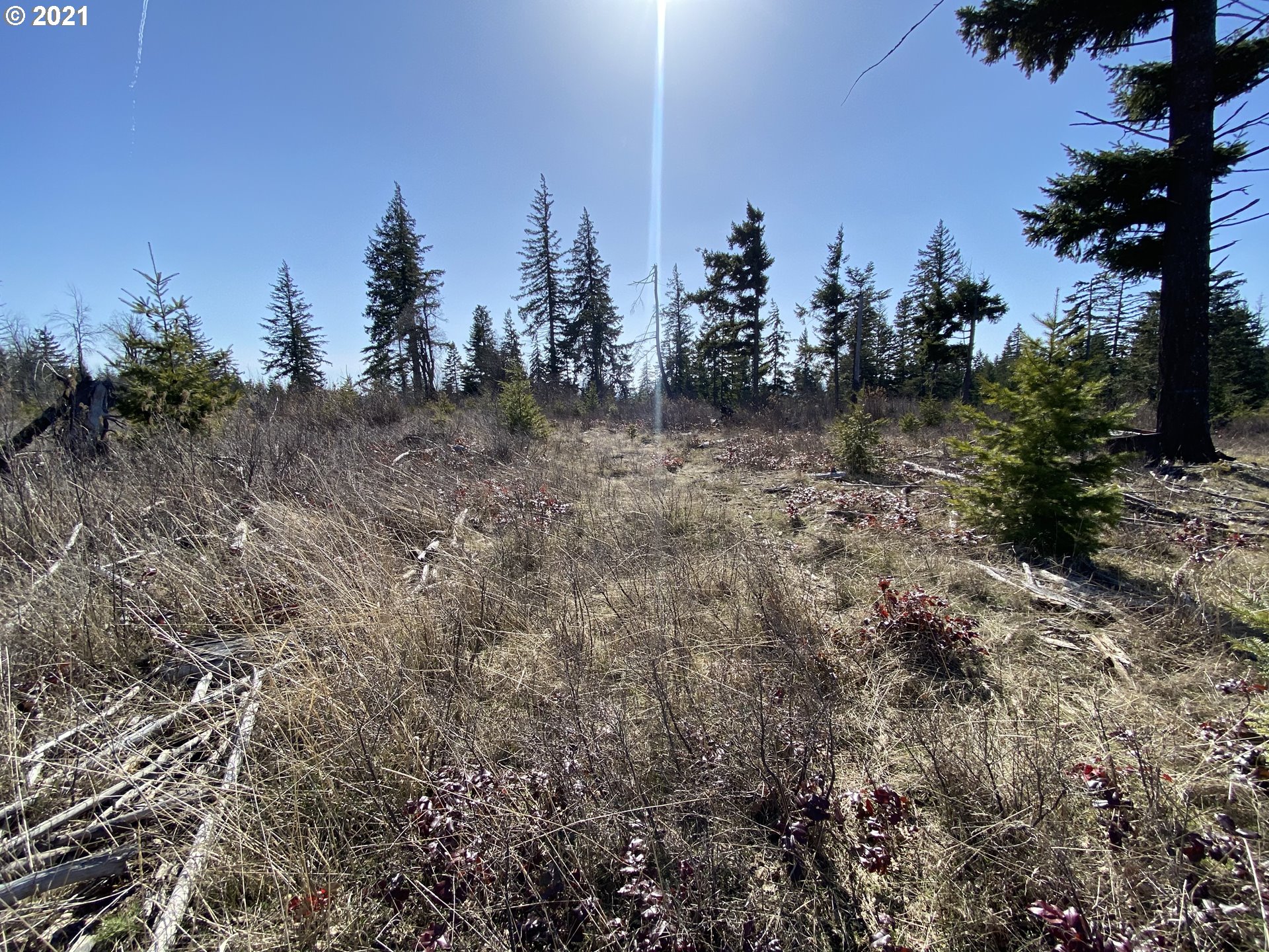 589 Lyle Snowden Road Lyle, WA 98635 - Photo 8 of 18 Gallery Image 8