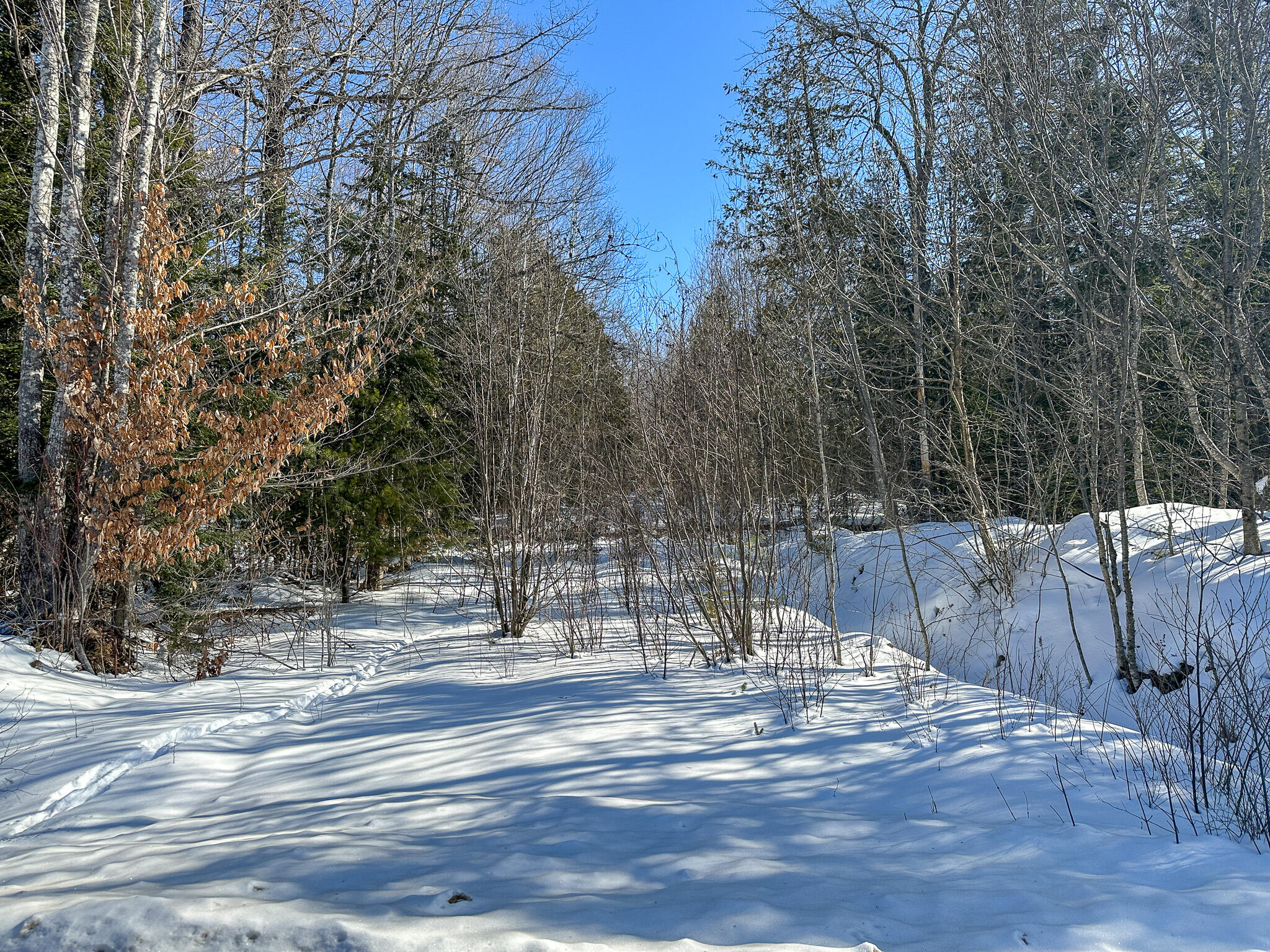 M5-l29 Long Ridge Road Burlington, ME 04417 - Photo 1 of 5 Photo Feb 12 2025, 11 13 45 AM