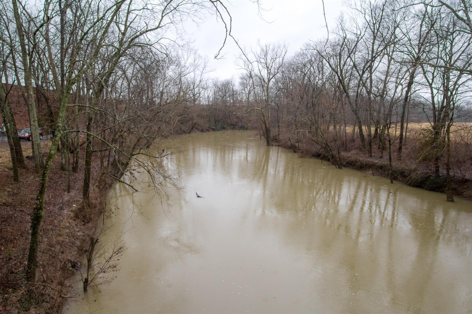 863 Spears Mill Road Paris, KY 40361 - Photo 41 of 45 Listing Photo