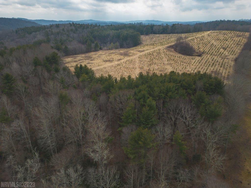 3 Long Mountain Road Southwest Willis, VA 24380 - Photo 24 of 66 Gallery Image 24