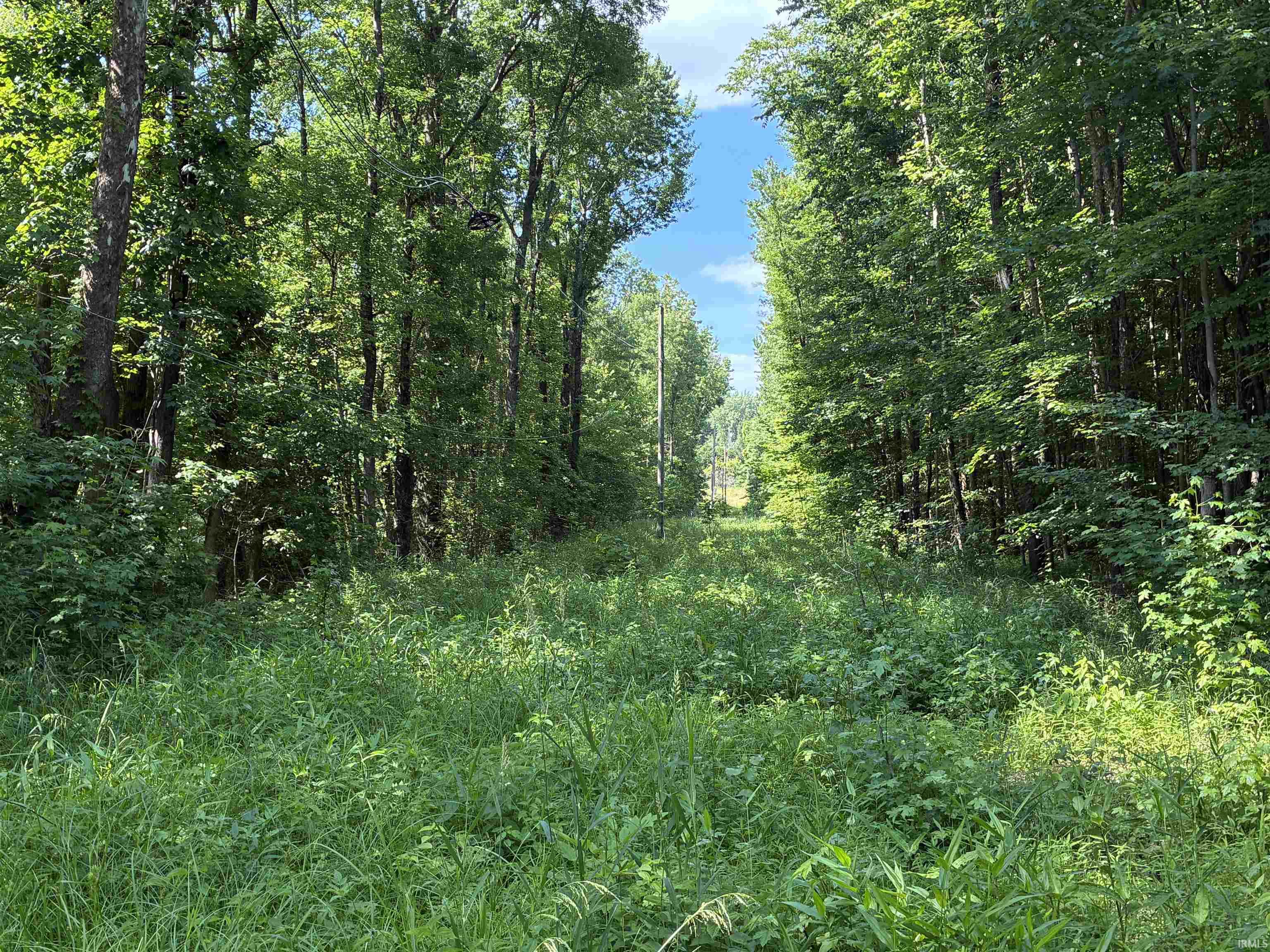 257 State Road Velpen, IN 47590 - Photo 23 of 29