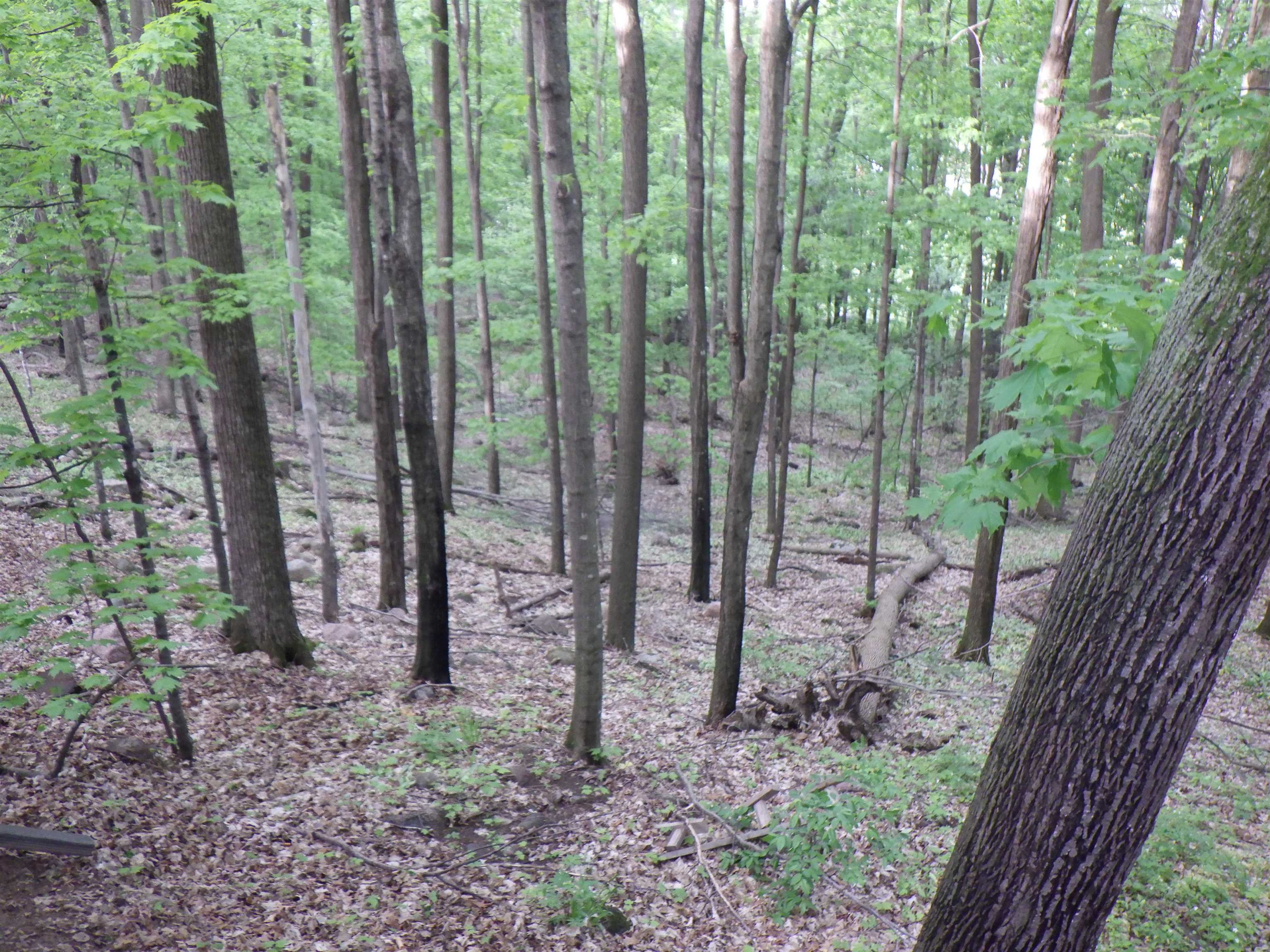 E7696 Horn Road Clintonville, WI 54929 - Photo 52 of 86