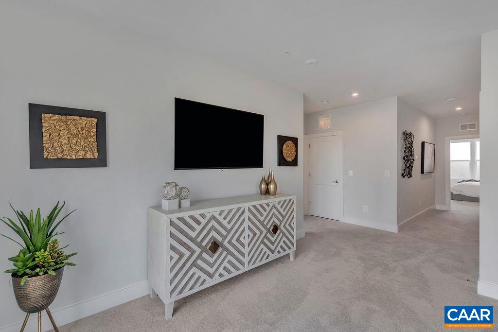 809 Wesley Lane, Unit A Charlottesville, VA 22911 - Photo 17 of 18 a living room with furniture and a flat screen tv