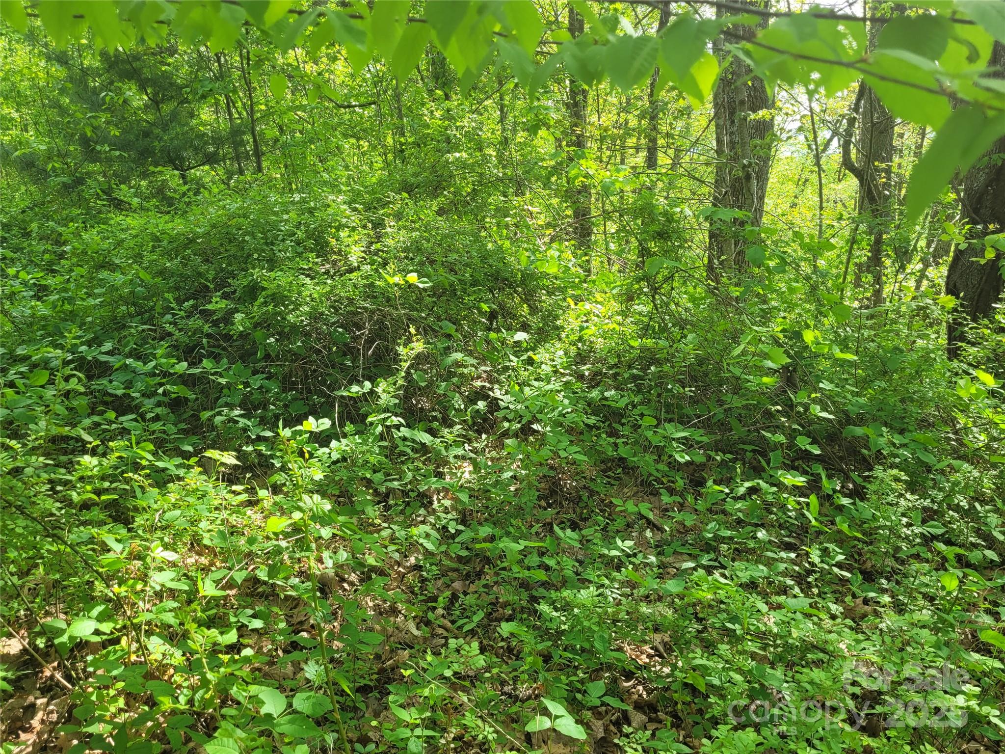0 Liner Cove Road, Unit 2 Waynesville, NC 28786 - Photo 6 of 9 Gallery Image 6