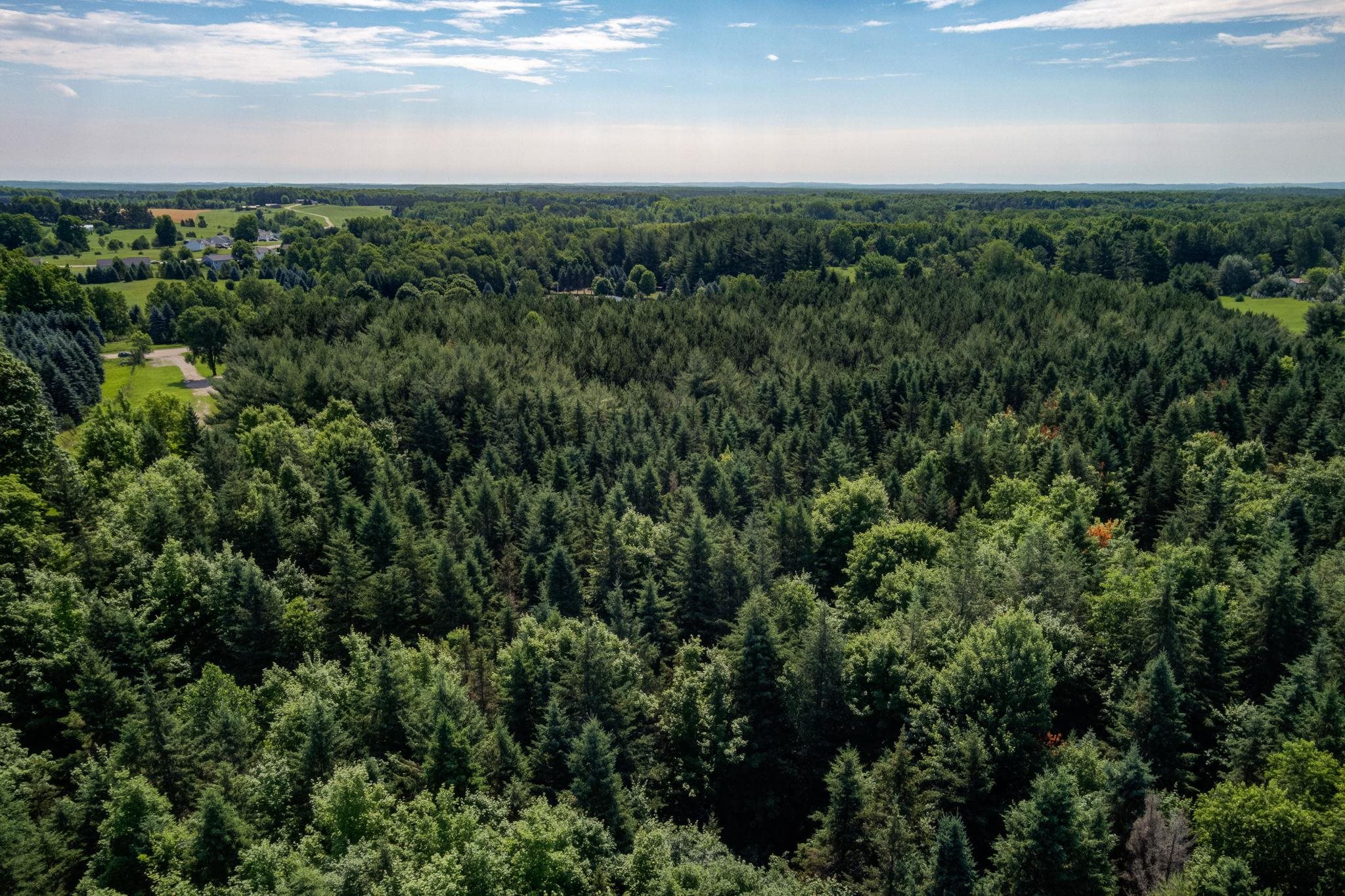 0 Westminister Road Kingsley, MI 49649 - Photo 7 of 11 Gallery Image 7
