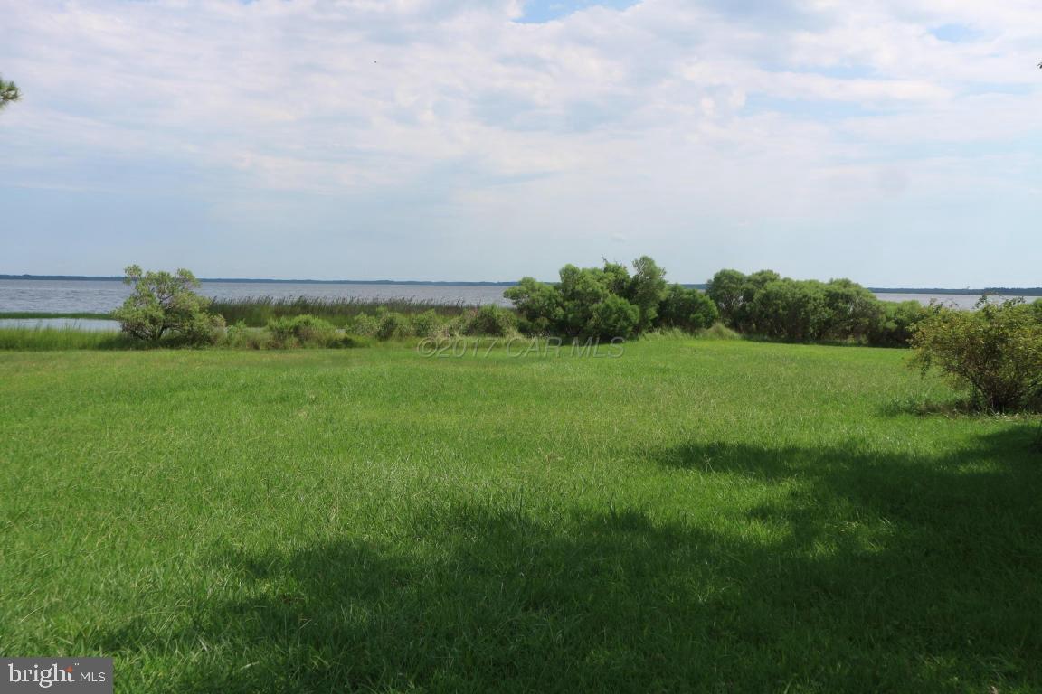 11646 Long Point Road Deal Island, MD 21821 - Photo 2 of 5