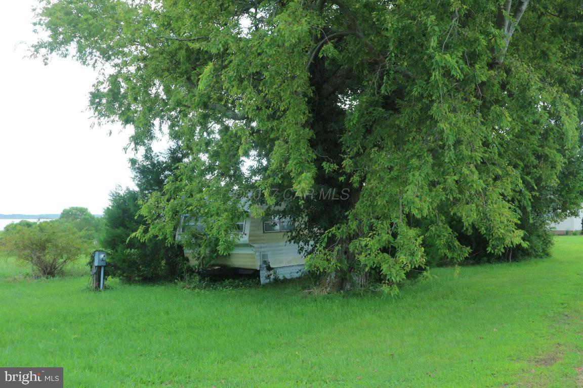 11646 Long Point Road Deal Island, MD 21821 - Photo 5 of 5