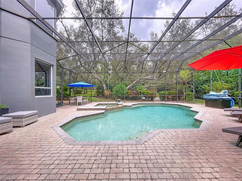 414 Westgate Road Tarpon Springs, FL 34688 - Photo 54 of 75 a view of a swimming pool with a patio