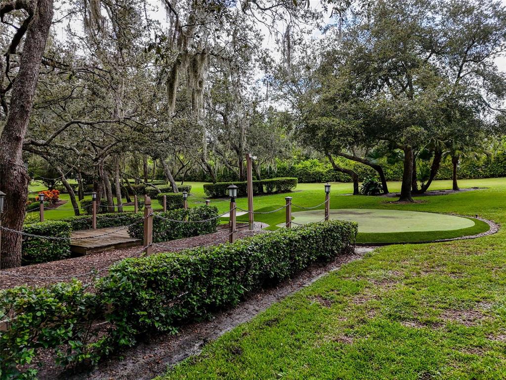 414 Westgate Road Tarpon Springs, FL 34688 - Photo 66 of 75 a view of a park with plants and trees