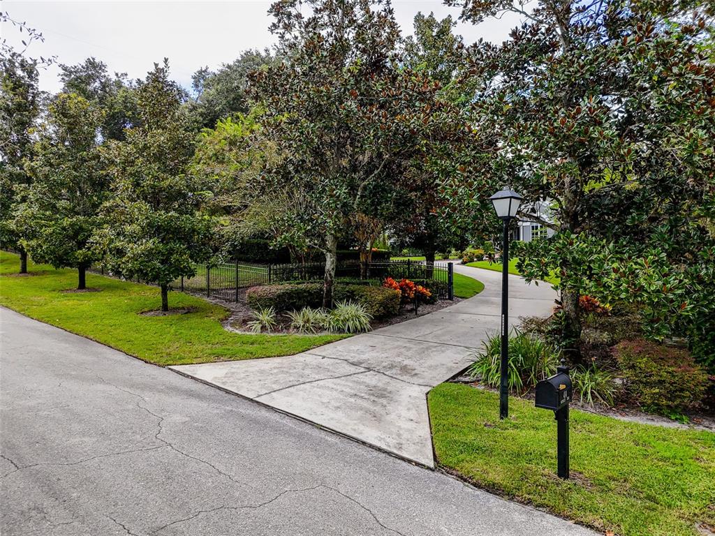 414 Westgate Road Tarpon Springs, FL 34688 - Photo 68 of 75 a view of a park with large trees
