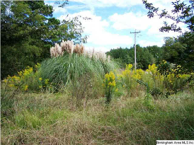 2231 Camp Brownie Road, Unit 5 AC Sylacauga, AL 35151 - Photo 13 of 15