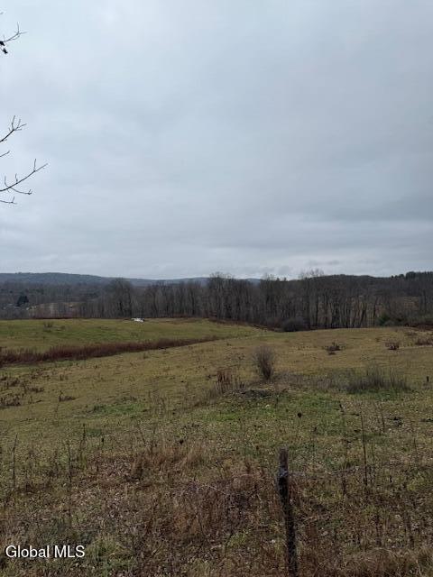 L11 Sheldon Road Granville, NY 12832 - Photo 6 of 6 IMG_1558