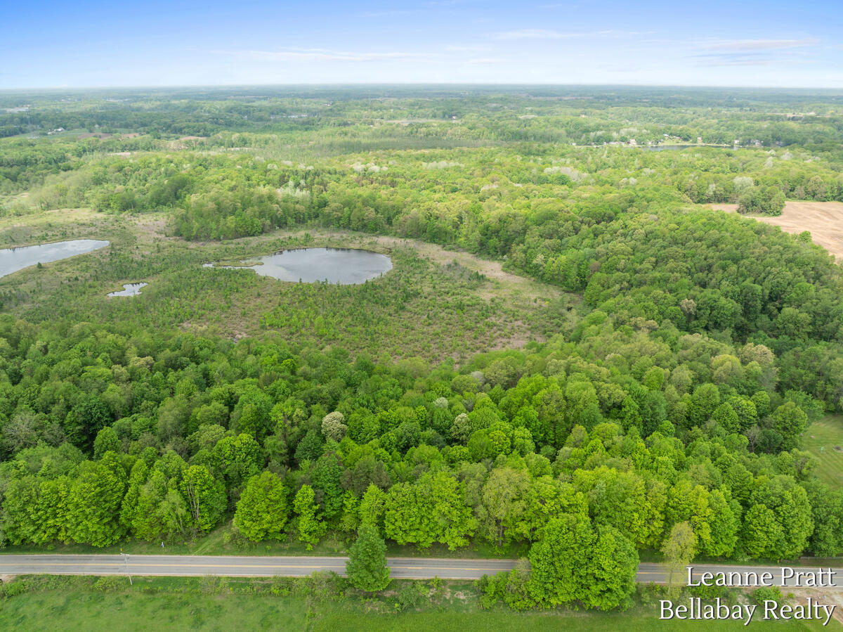 Vl Hutchinson Road Dowling, MI 49050 - Photo 6 of 9 12950-Hutchinson_204