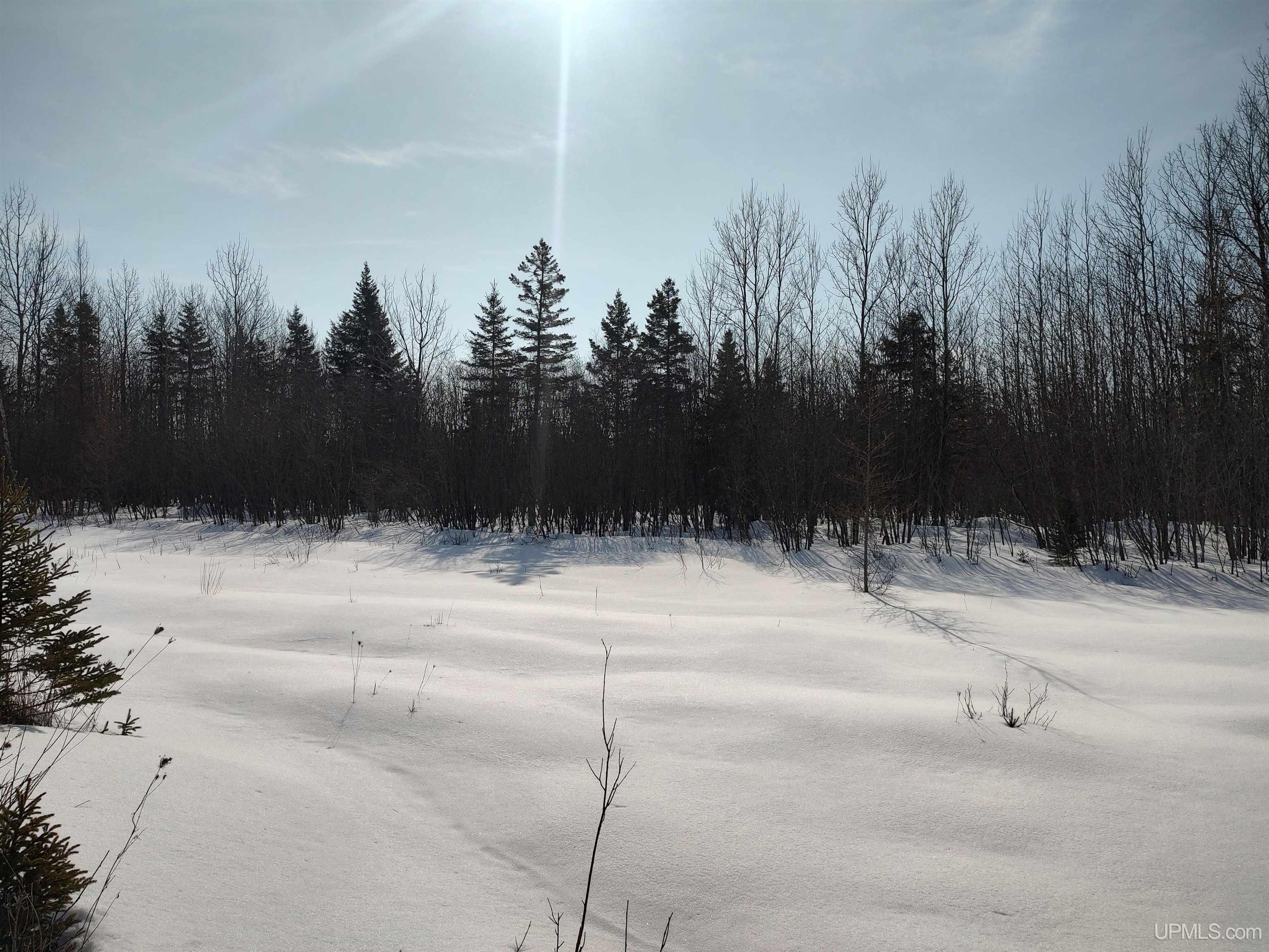 30-acres Parkington Road Gulliver, MI 49840 - Photo 10 of 31