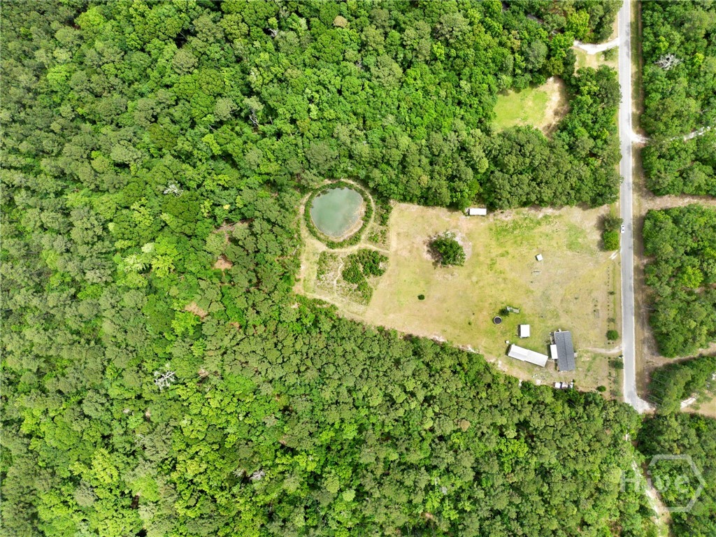 126 Oak Street Rincon, GA 31326 - Photo 33 of 33 Aeriel