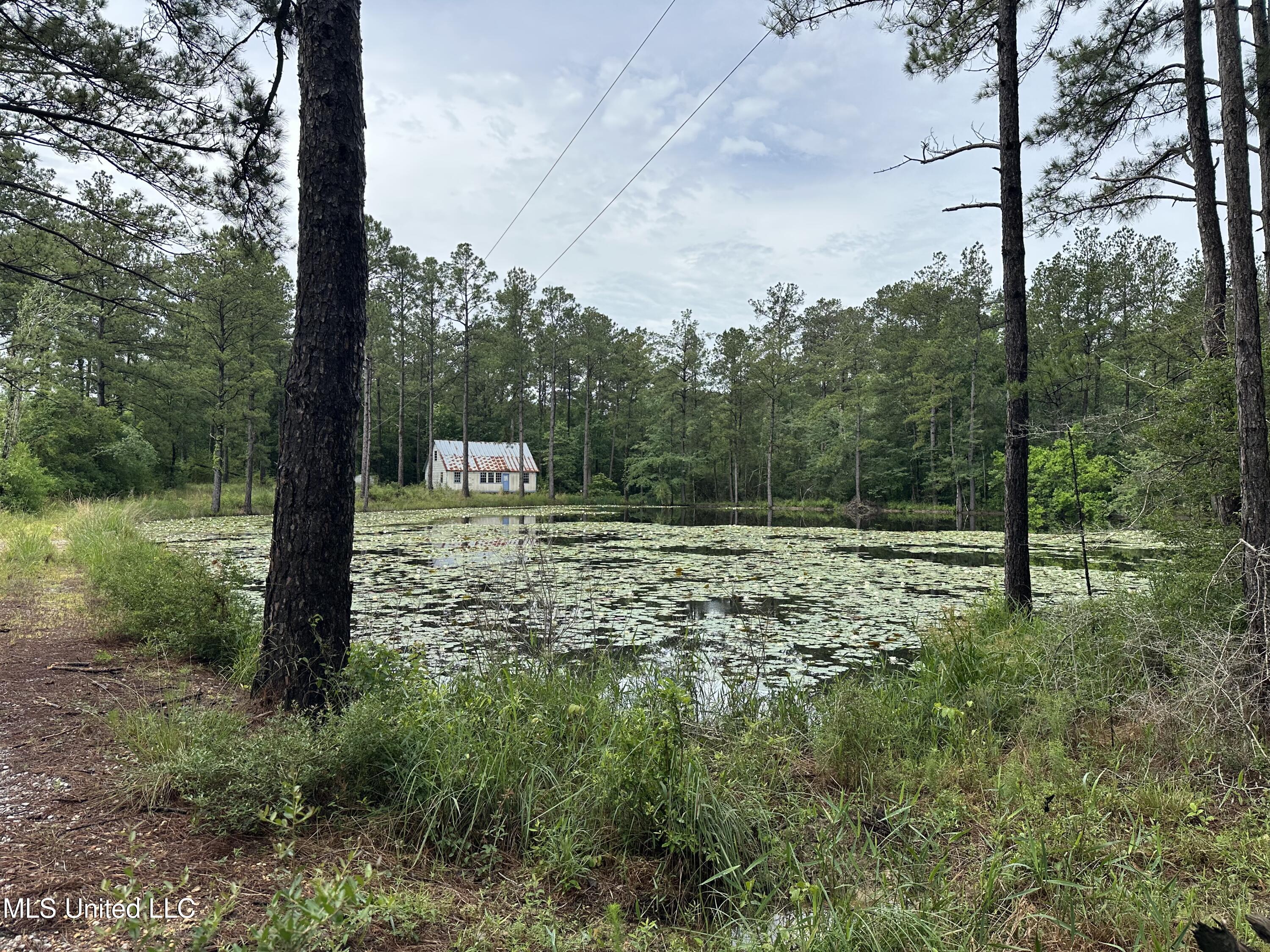 261 Tom Chance Road Poplarville, MS 39470 - Photo 3 of 23 IMG_2034