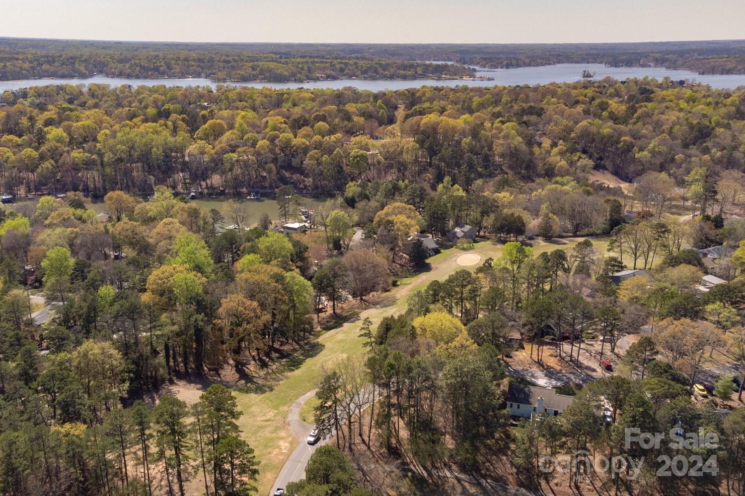 1177 Molokai Drive Tega Cay, SC 29708 - Photo 40 of 41 a view of city and mountain