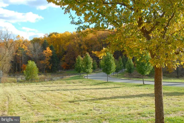 a view of a yard