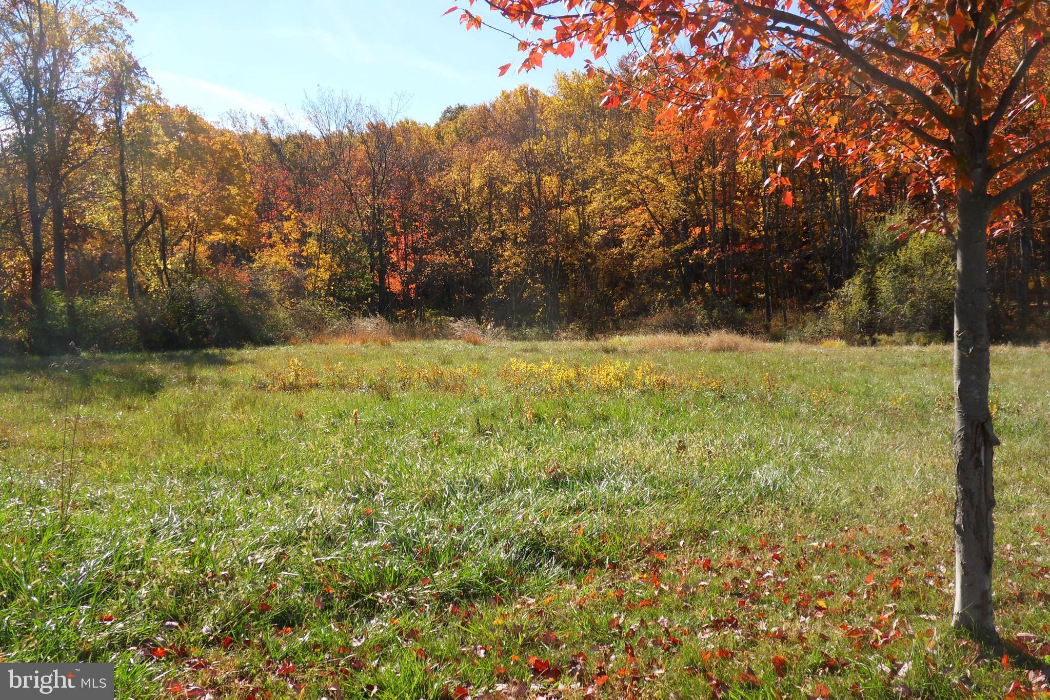 2209 Melrose Avenue Bethlehem, PA 18015 - Photo 9 of 10 a view of outdoor space and yard