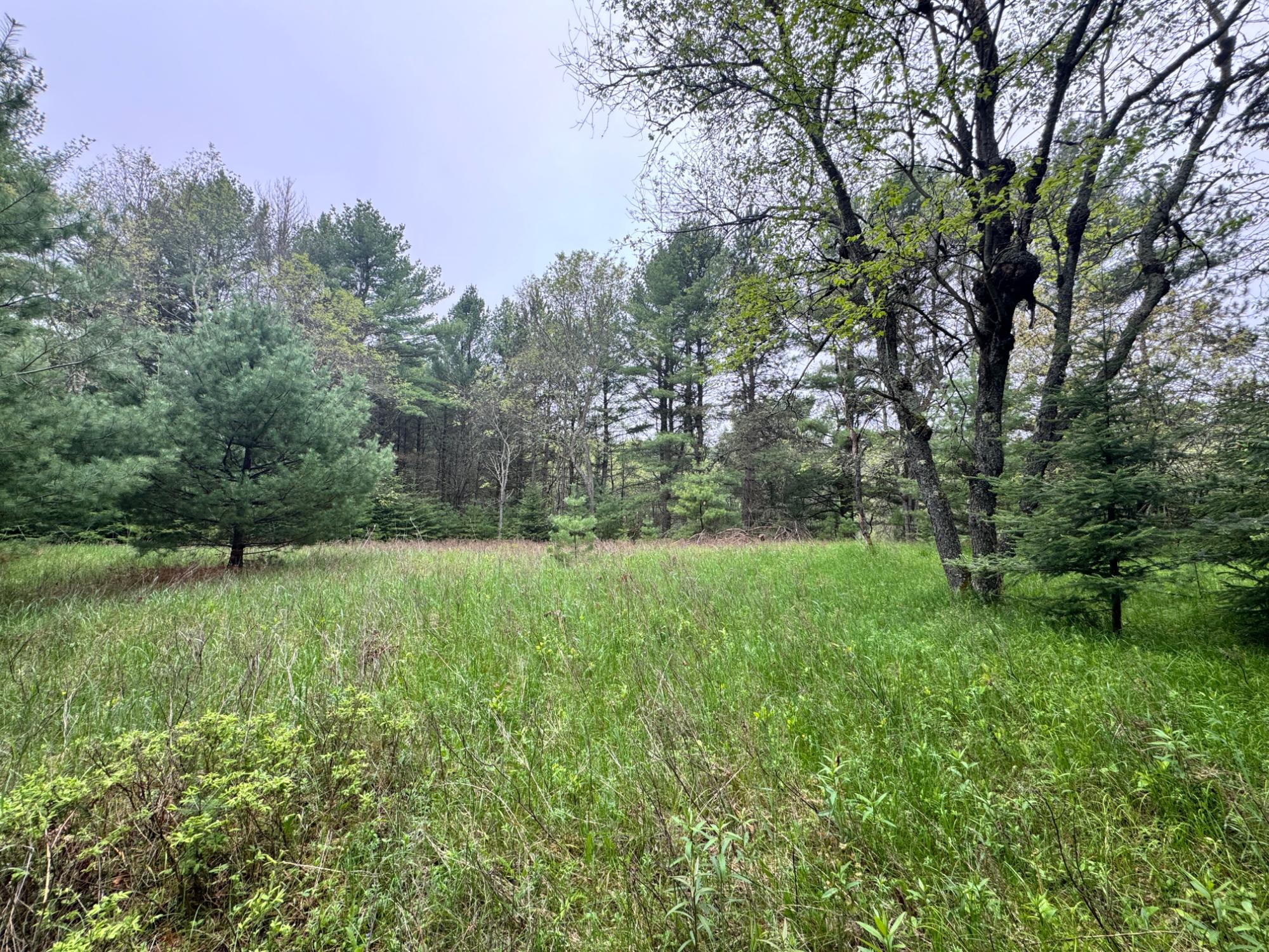 7659 Agawak Road Minocqua, WI 54548 - Photo 10 of 14 Gallery Image 10