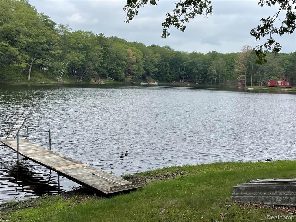 5808 Lakeview Road Rose City, MI 48654 - Photo 16 of 39 Gallery Image 16