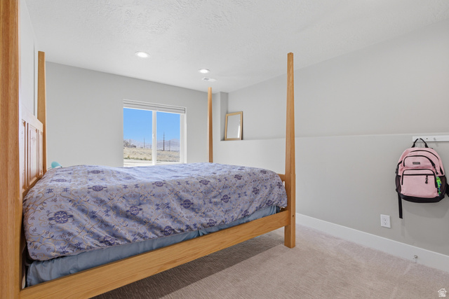 865 Settlement Canyon Road Tooele, UT 84074 - Photo 32 of 48