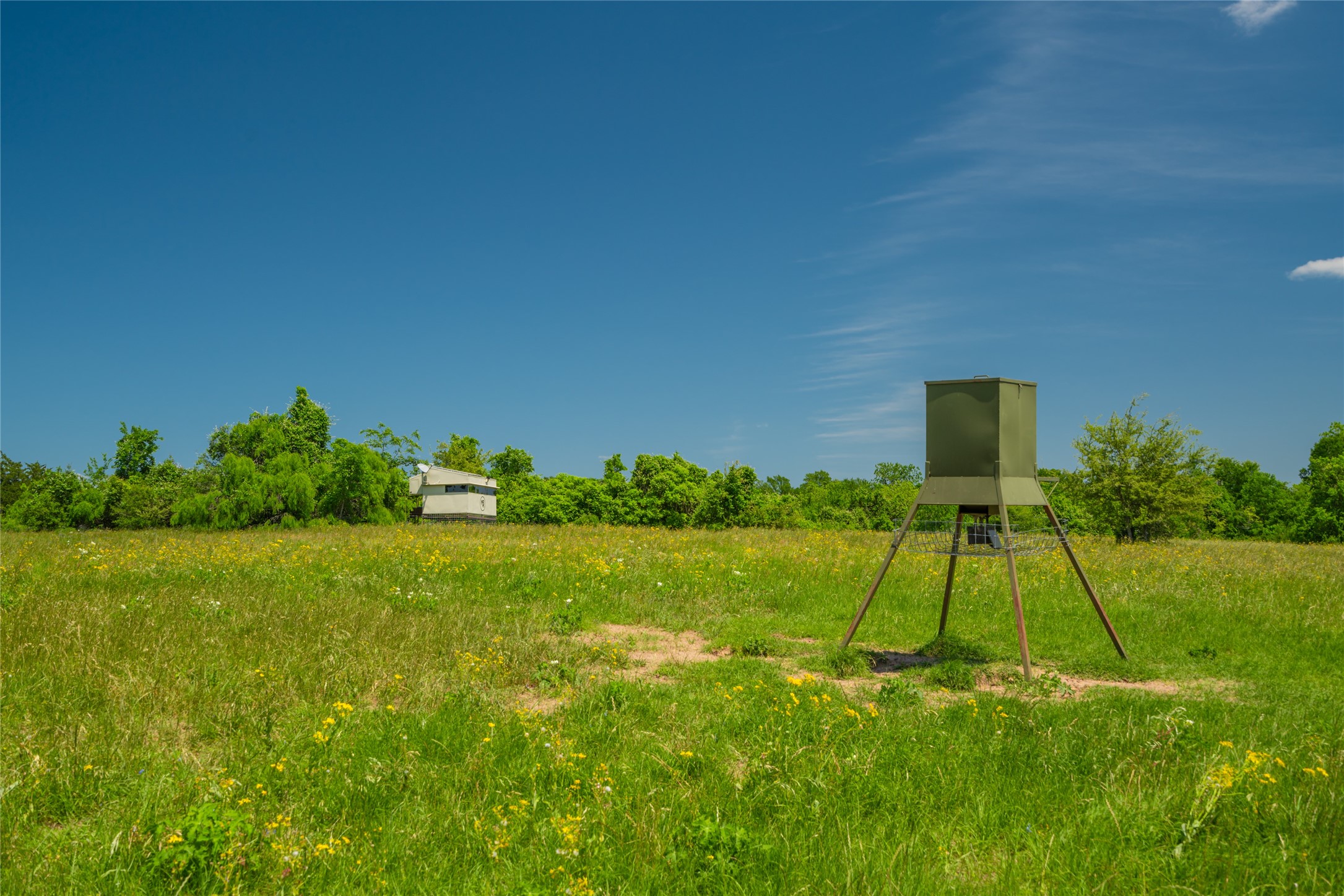 21729 Farm To Market 1887 Hempstead, TX 77445 - Photo 40 of 49 Great locations for the HUNTERS' BLINDS and DEER FEEDERS - at the edge of the forested areas and overlooking the expansive pastures!