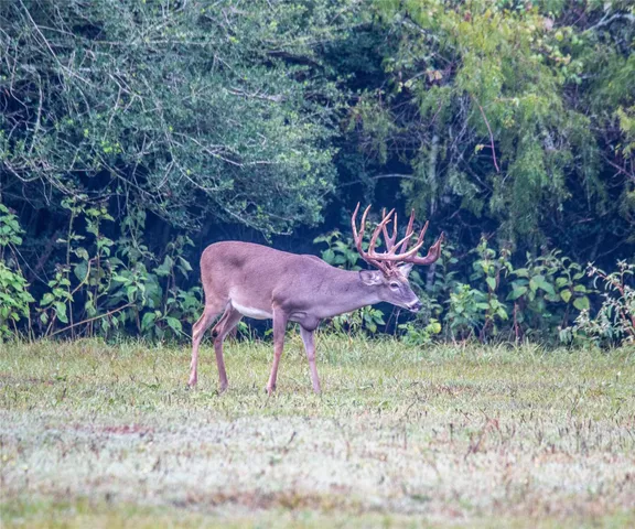 $24,000,000 | 21729 Farm To Market 1887, Hempstead, TX 77445