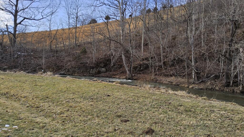 1395 Sunset River Road Ceres, VA 24318 - Photo 4 of 16 Gallery Image 4