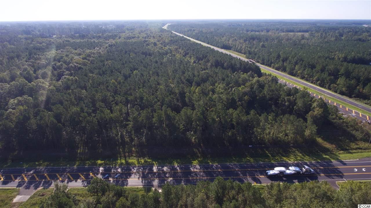 21.3-ace County Line Road Andrews, SC 29510 - Photo 1 of 4